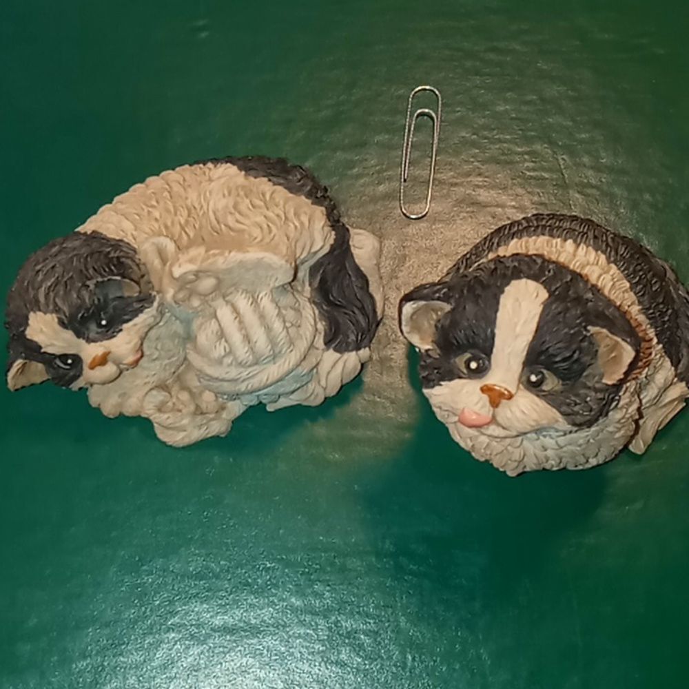 Set of kitties